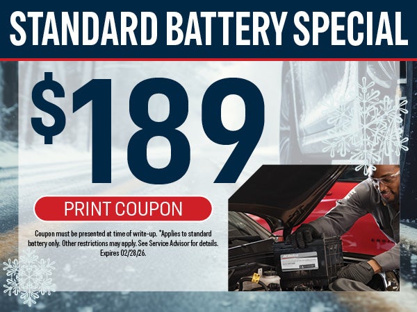 Standard Battery Special